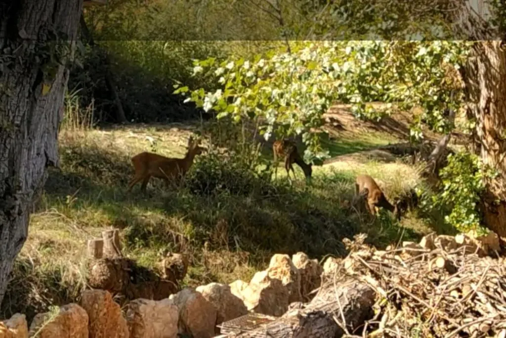 Maison Nature Le Val France